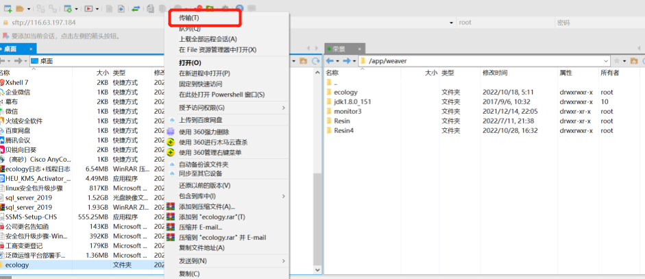 Xftp 传输 ecology 文件