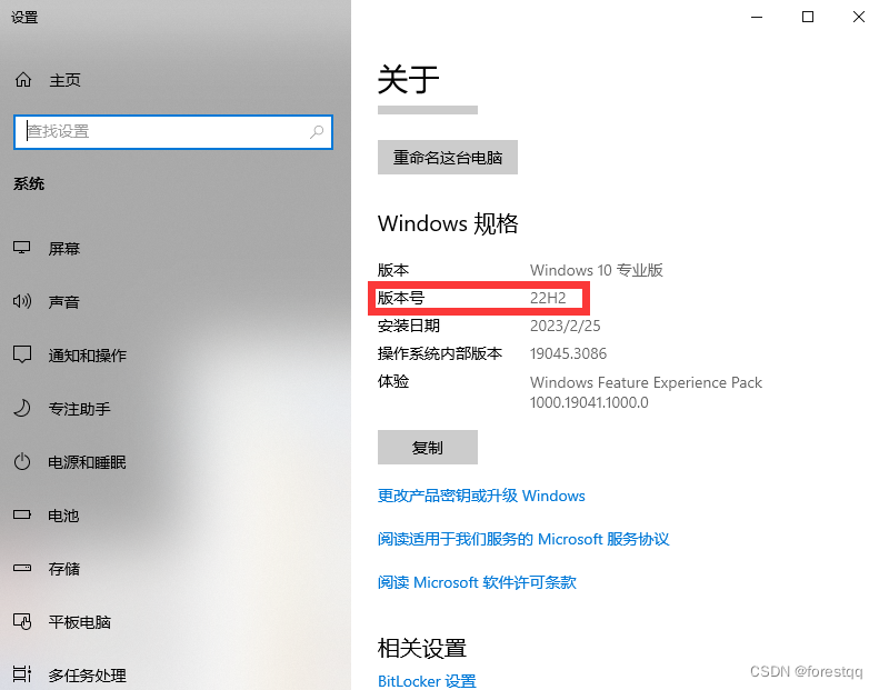 查看当前 Windows 10 22H2 版本